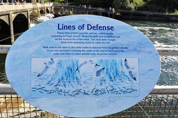 sign: Lines of Defense